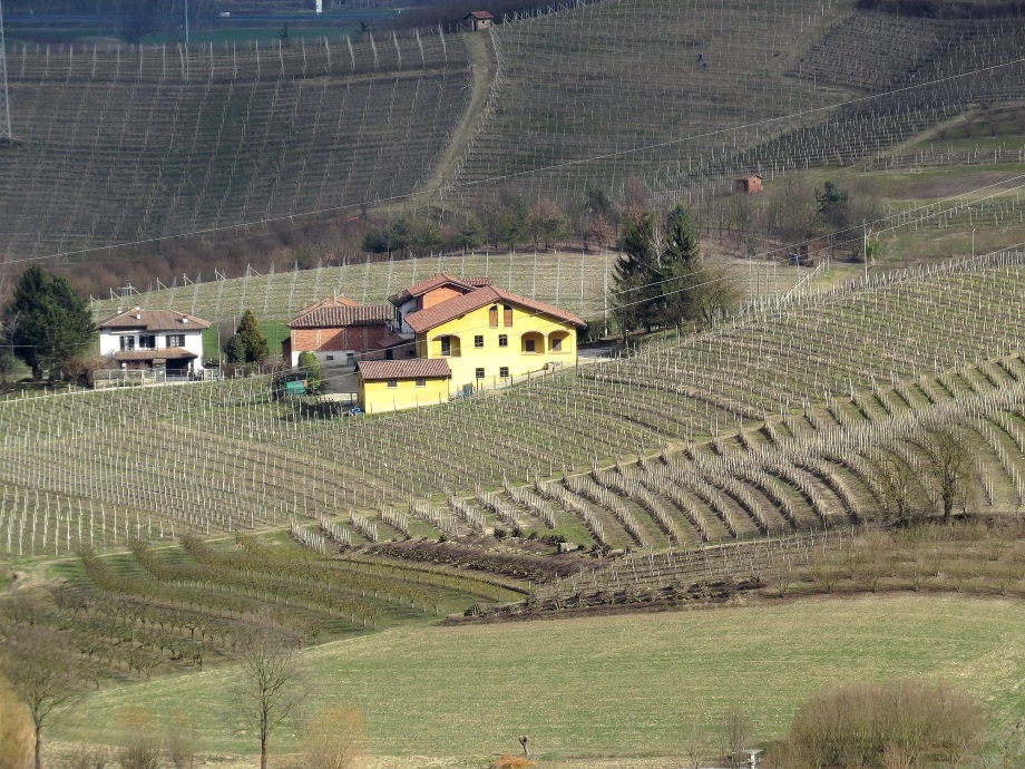 ForumEA/D/cascina e vigne.jpg